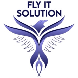 Fly IT Solution logo